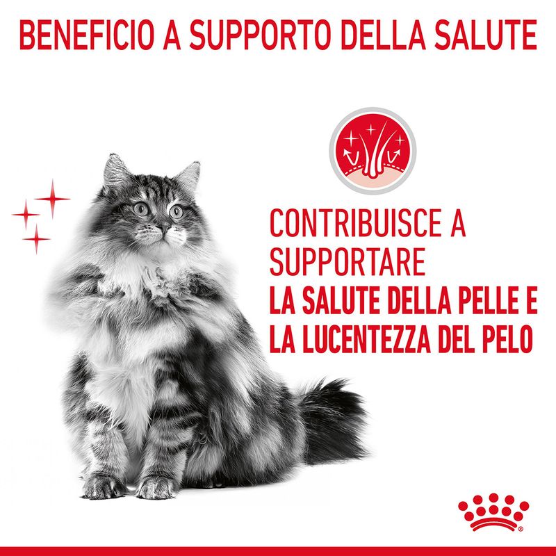 Royal Canin Hair & Skin Care