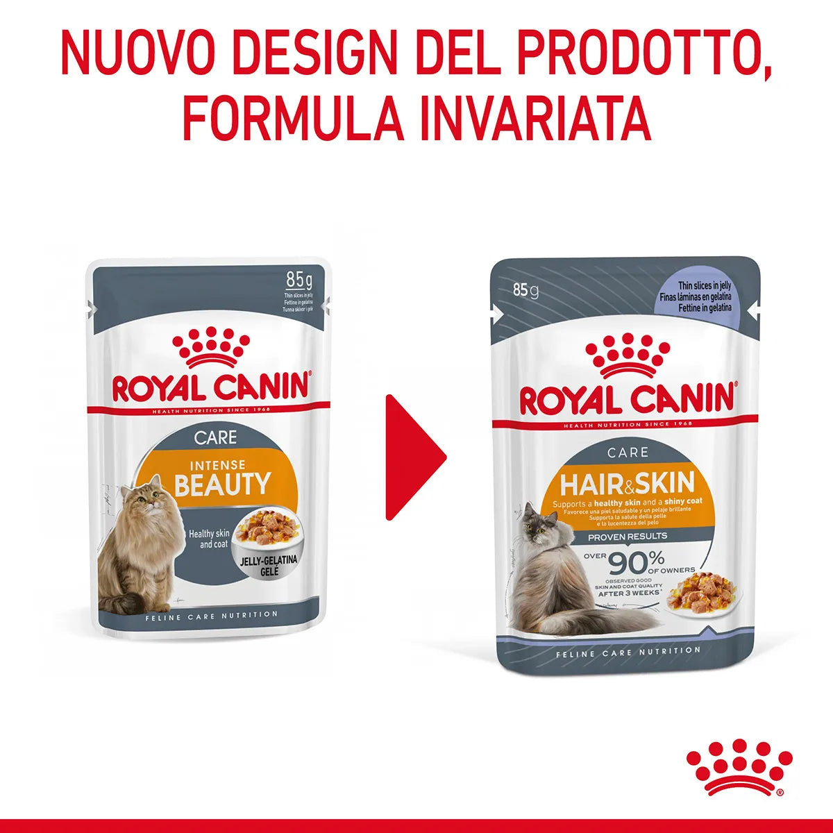 Royal Canin Intense Beauty In Gelatina