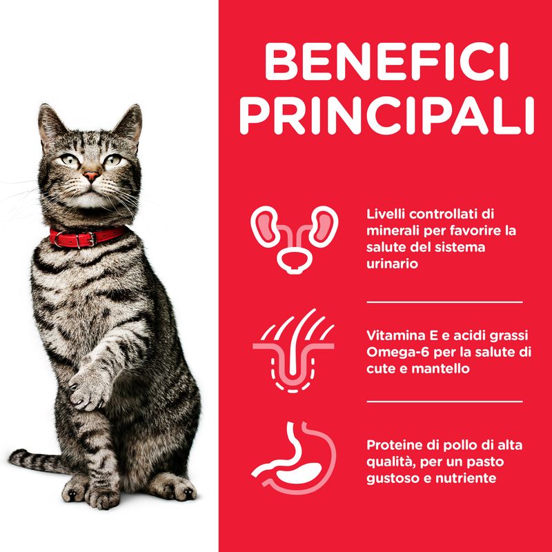 Hill'S Science Plan Adult Urinary Health Pollo