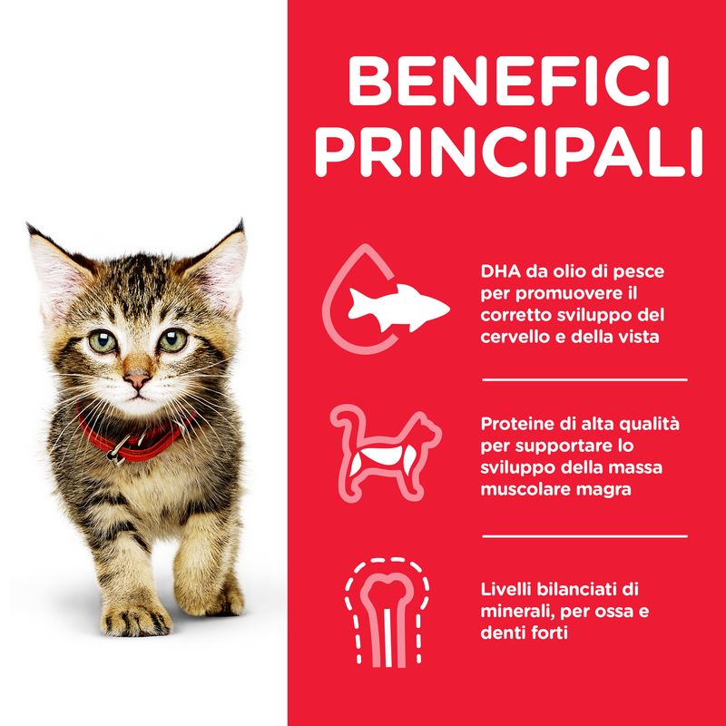 Hill'S Science Plan Kitten Tonno