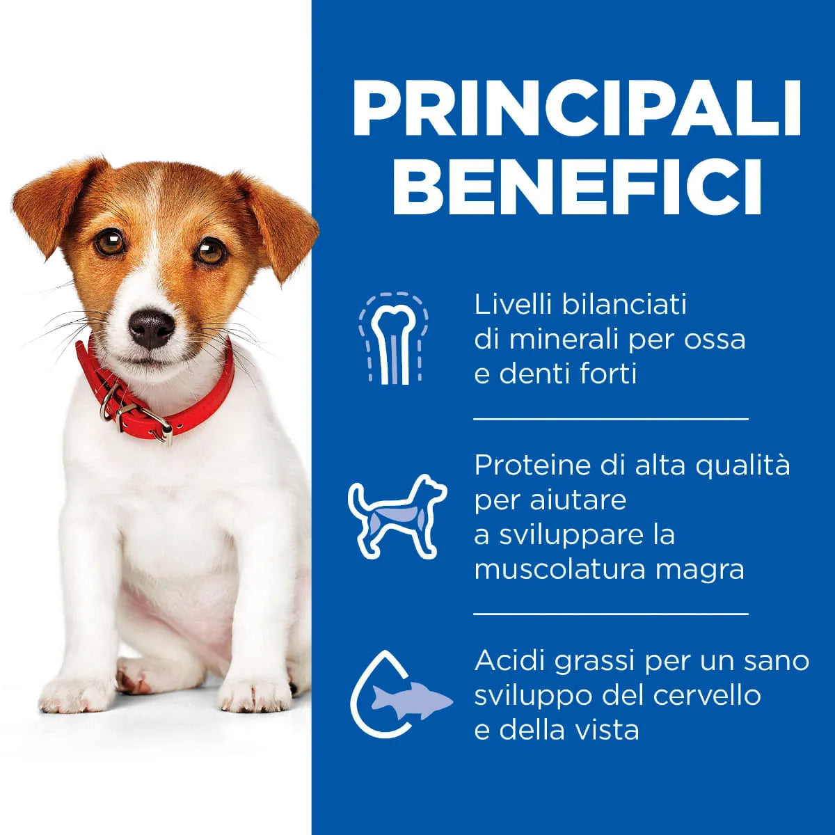 Hill'S Science Plan Puppy Small&Mini Agnello e Riso