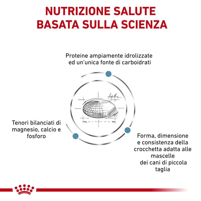 Royal Canin V-Diet Hypoallergenic Small