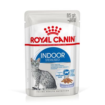 Royal Canin Indoor In Gelatina