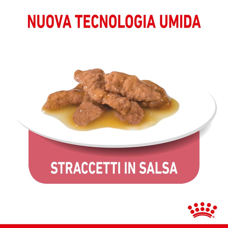 Royal Canin Indoor In Salsa