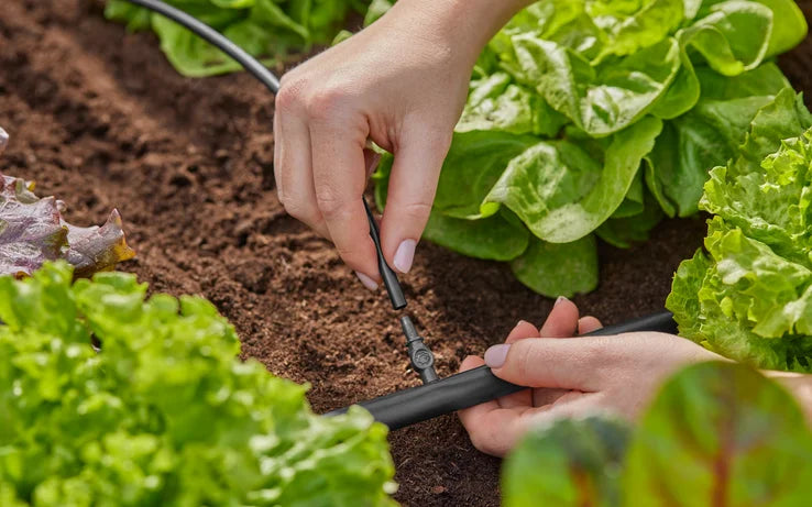 13213-20 Connettore 4,6 Mm - (3/16’)