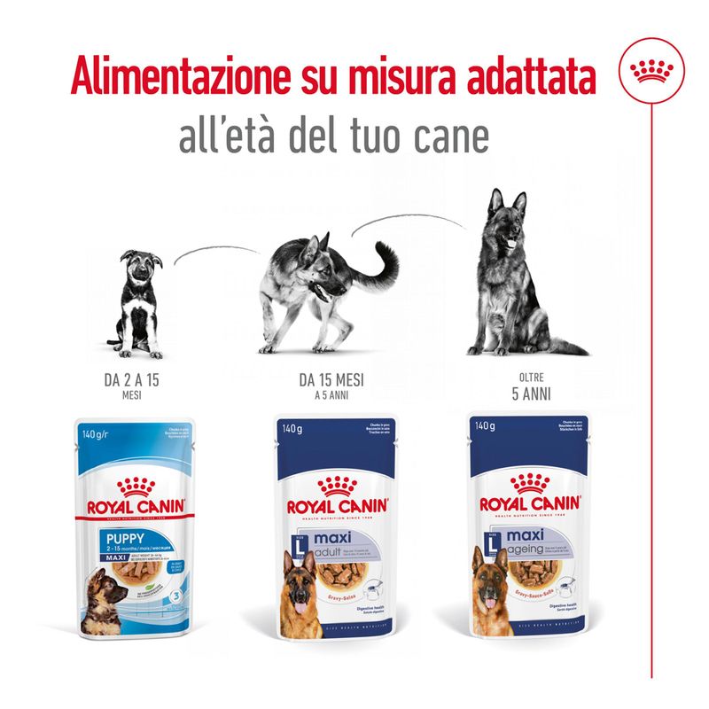 Royal Canin Maxi Ageing
