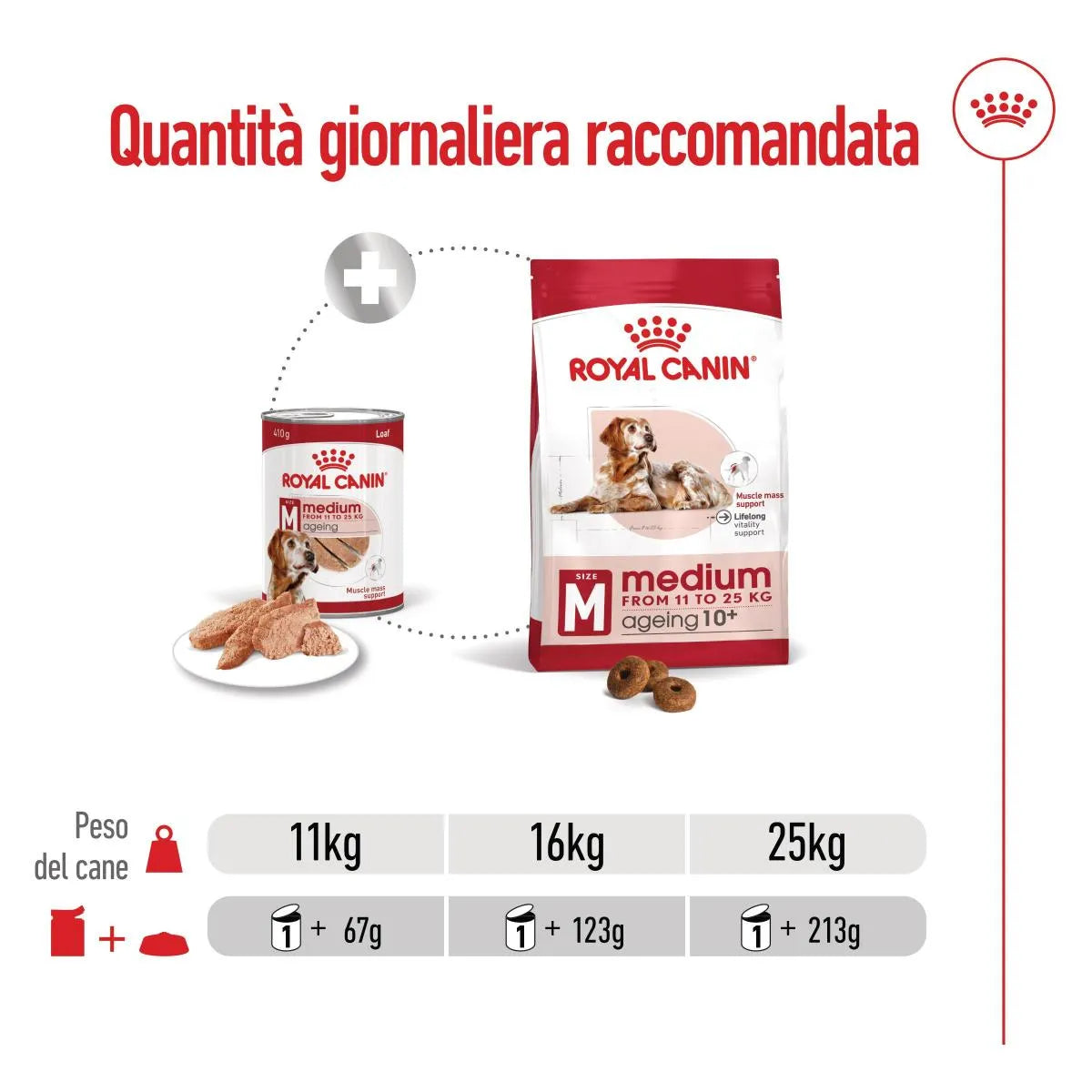 Royal Canin Medim Ageing
