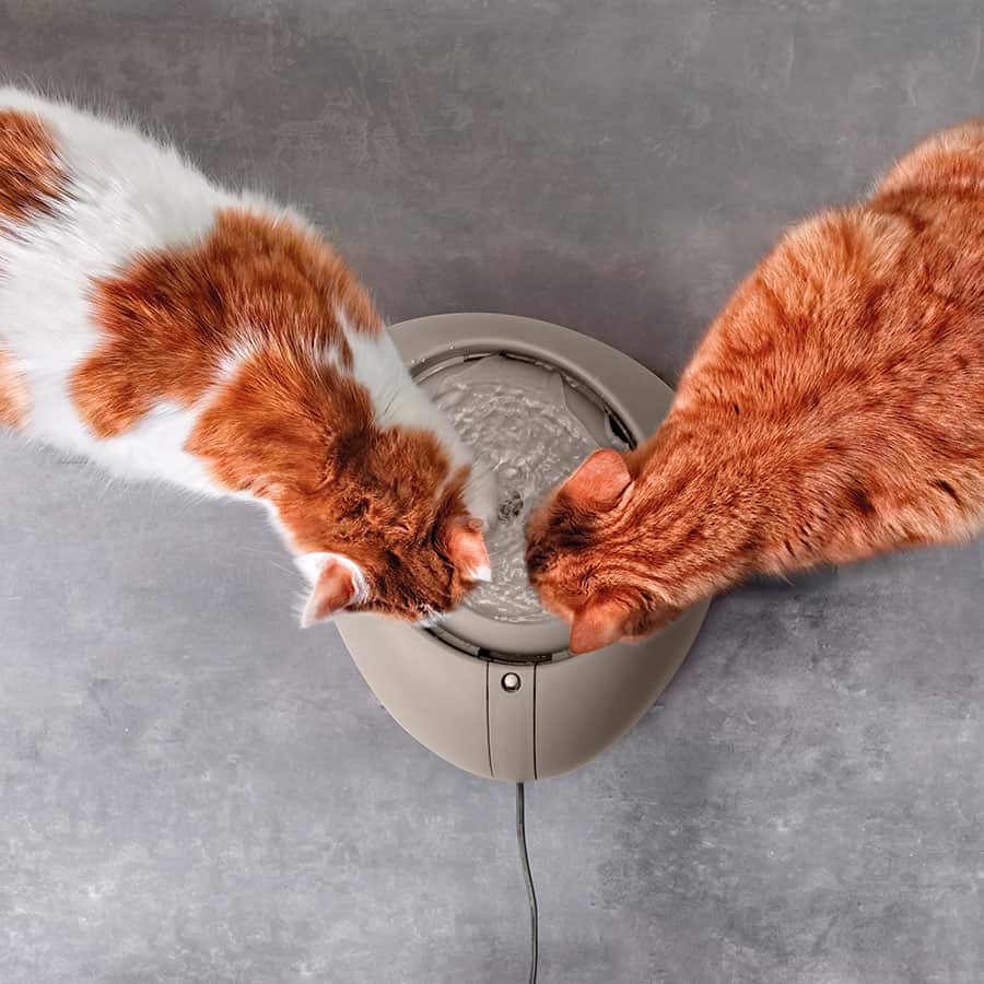 Imac pet fountain
