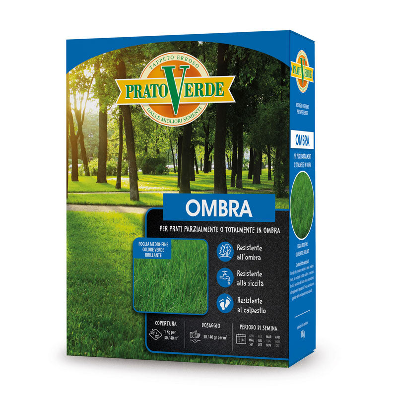 Semente Prato Verde Ombra 5kg