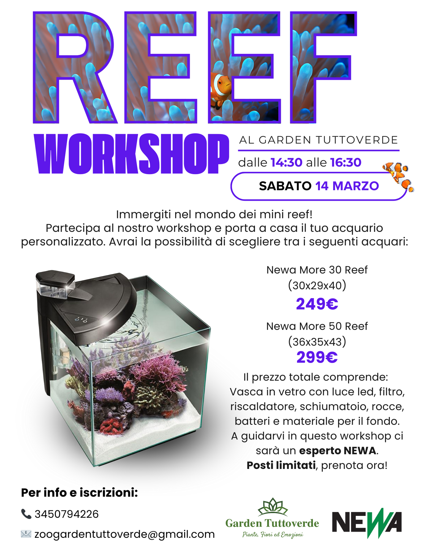Reef Workshop