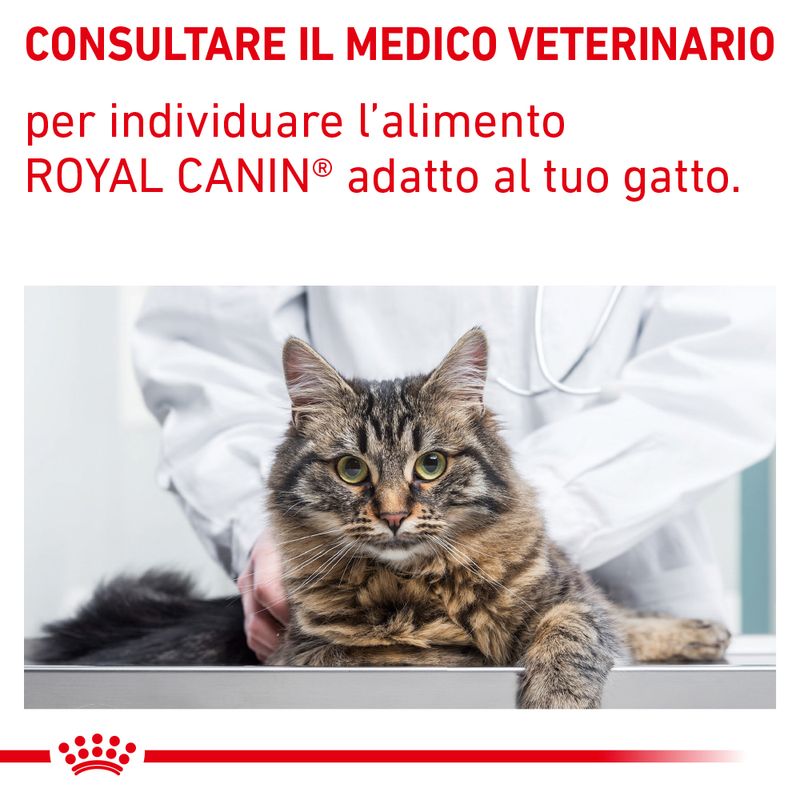 Royal Canin V-Diet Cat Renal Fish
