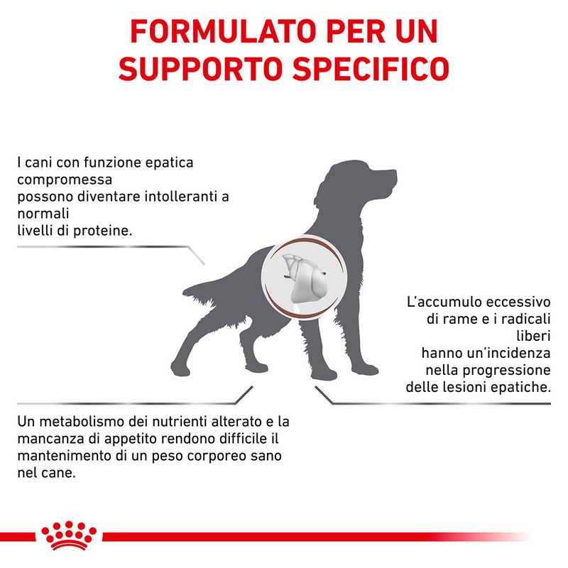 Royal Canin V-Diet Hepatic