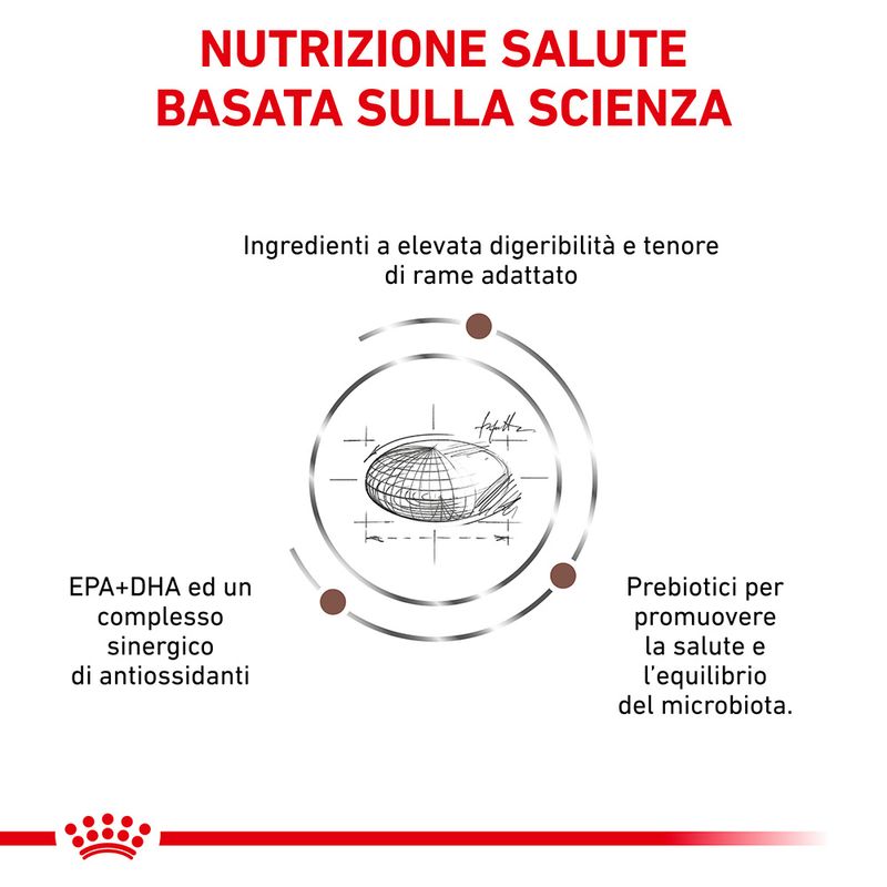 Royal Canin V-Diet Hepatic