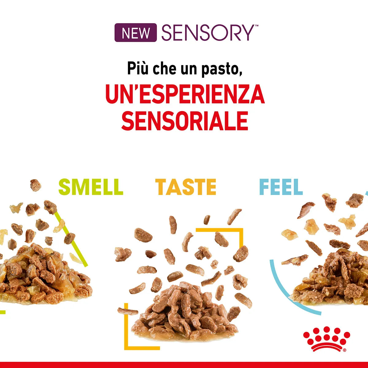 Royal Canin Sensory Feel In Salsa