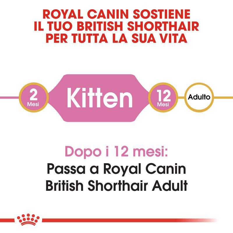 Royal Canin Kitten British Shorthair