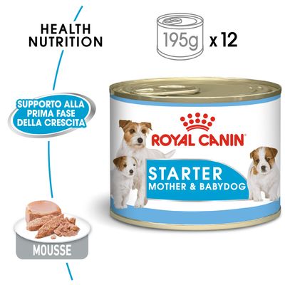 Royal Canin Starter Mousse