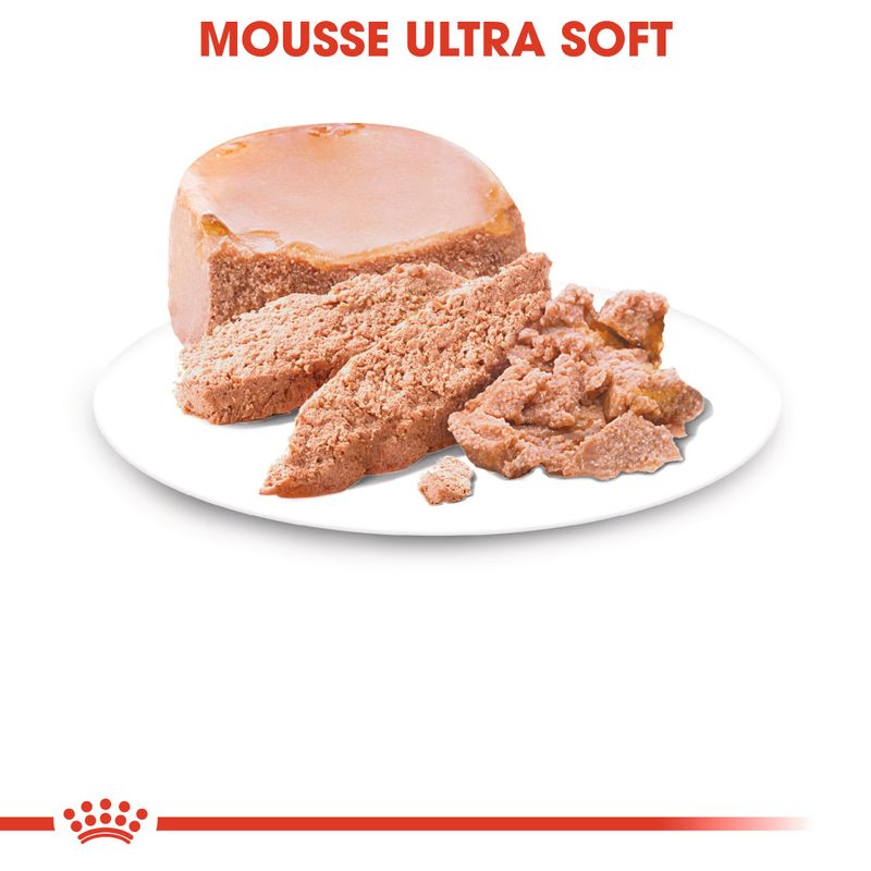 Royal Canin Starter Mousse