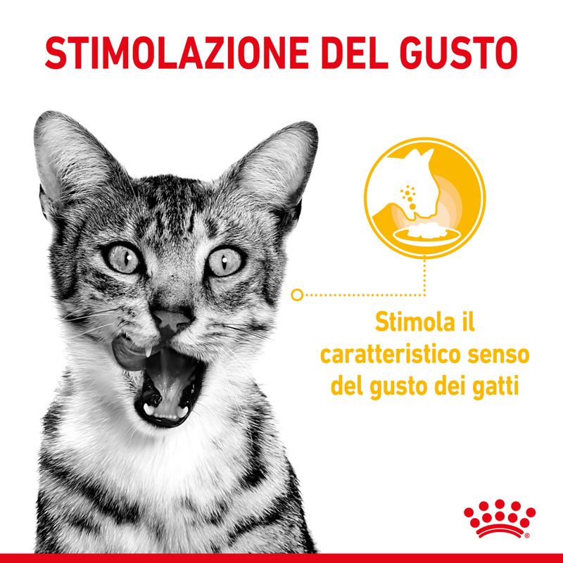 Royal Canin Sensory Taste In Salsa