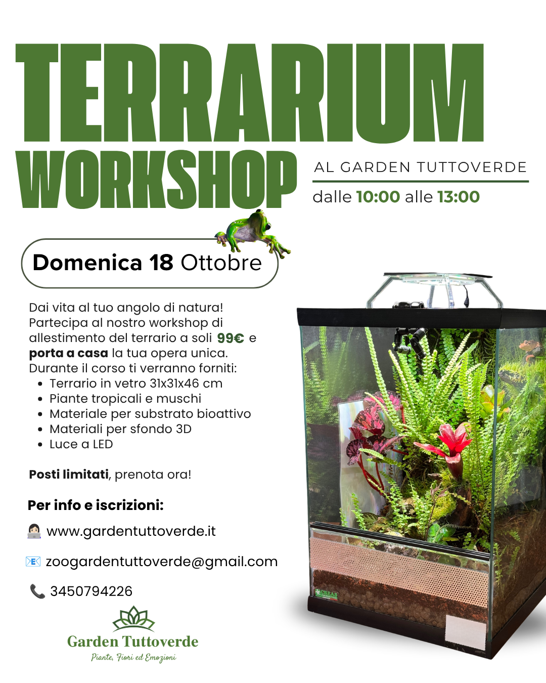 Terrarium WorkShop
