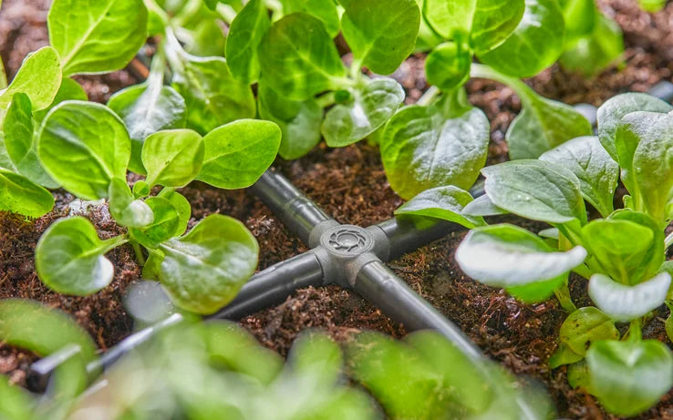 13214-20 Raccordo 4 Vie 4,6 Mm (3/16’)