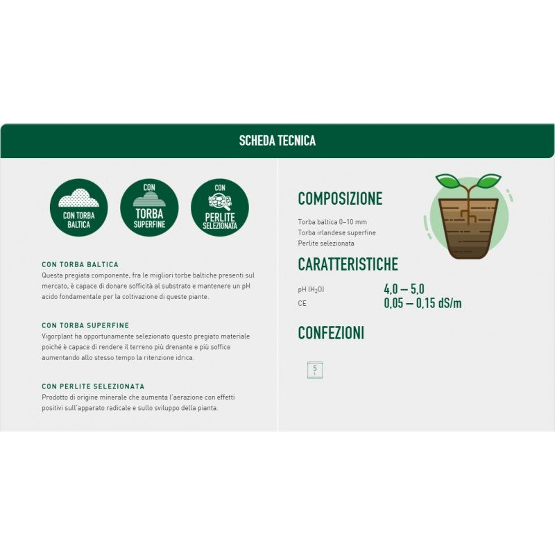 Vigorplant Piante Carnivore 5 Lt