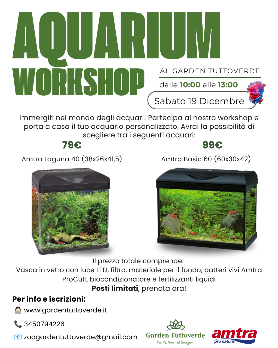 Aquarium Workshop