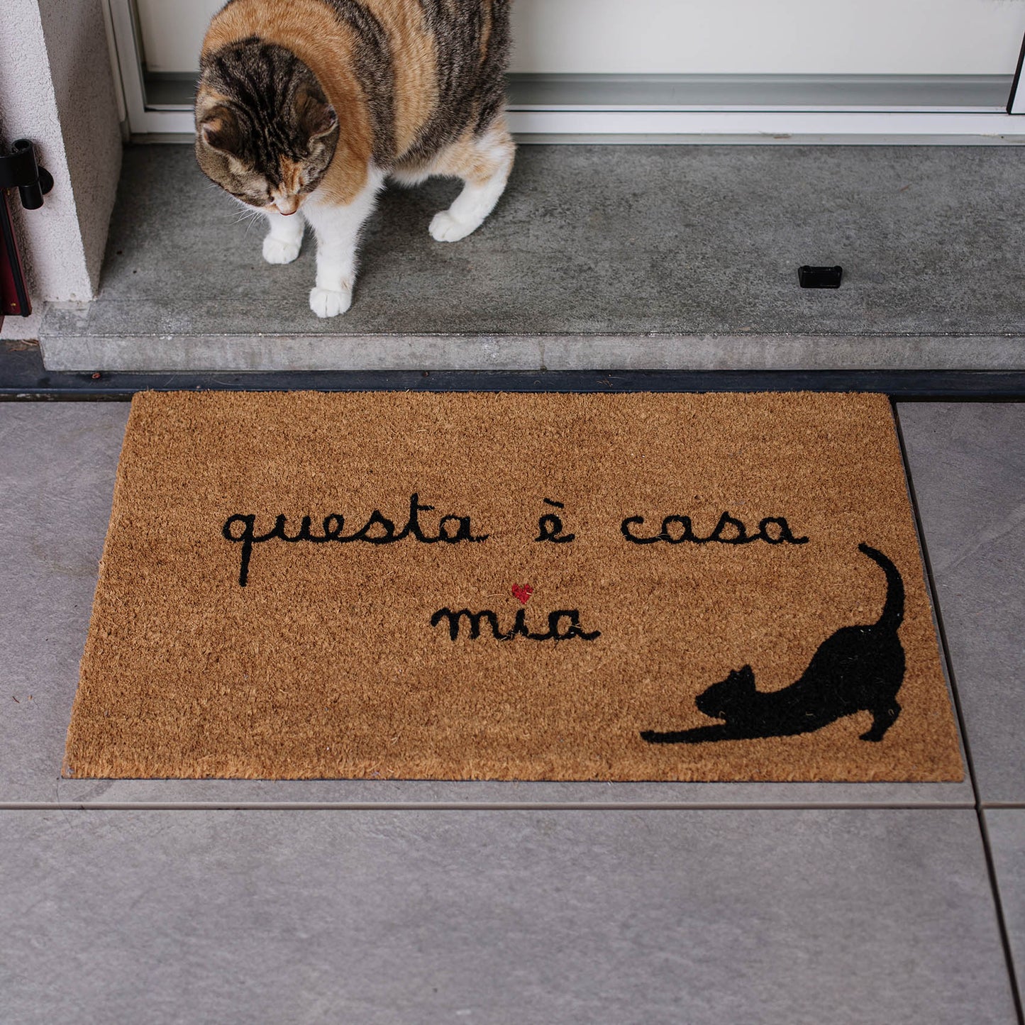 Zerbino Questa E' Casa Mia Gatto