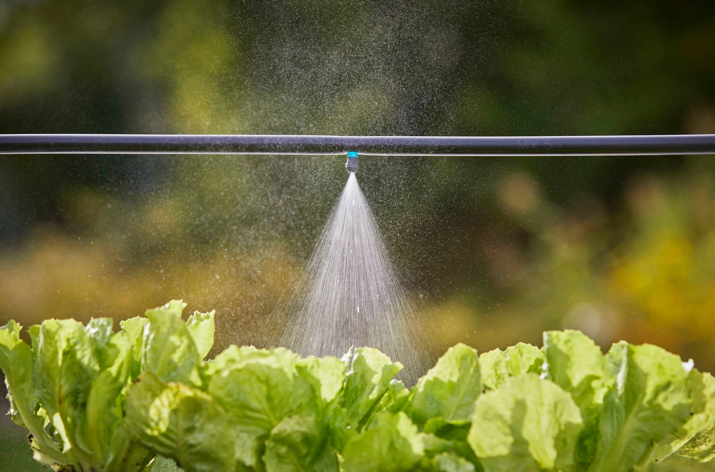 13323-20 Micronebbia