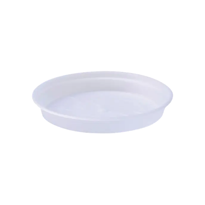 Green Basics Orchid Saucer Trasparente