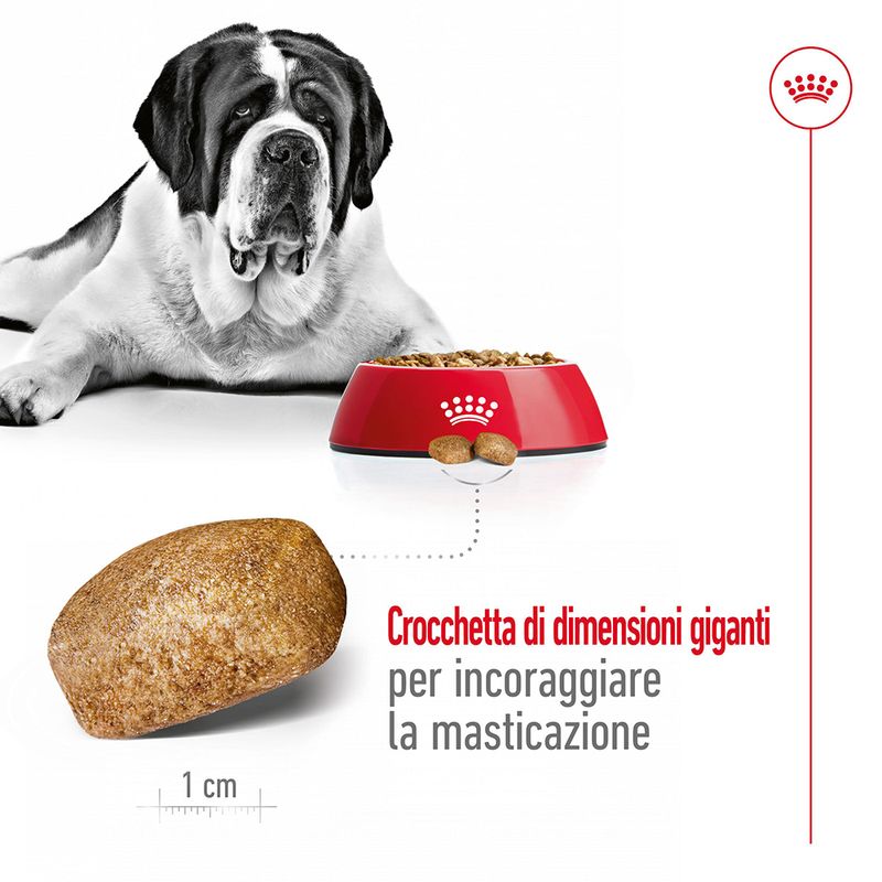 Royal Canin Giant Adult