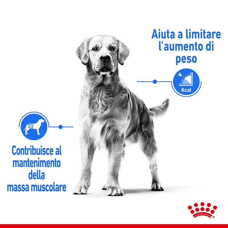 Royal Canin Medium Light Weight Care