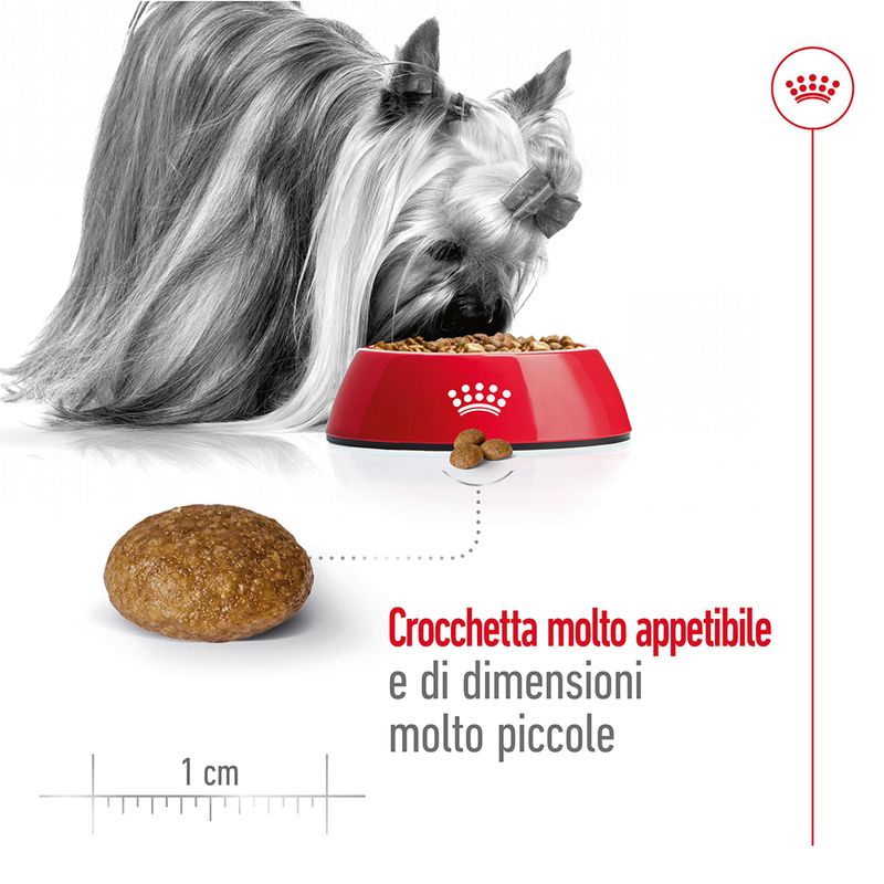 Royal Canin X-Small Adult 8+
