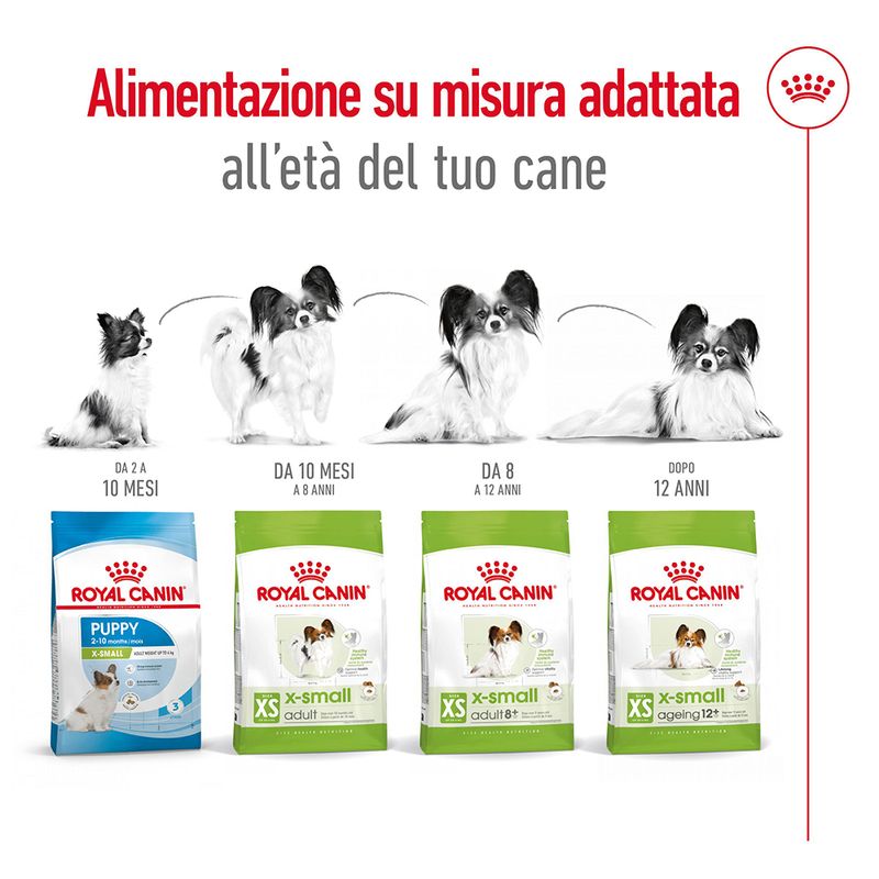 Royal Canin X-Small Adult 8+