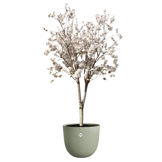 Sereh Round Verde Scandinavo