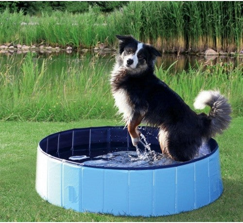 Trx piscina per cani azzurra/blu