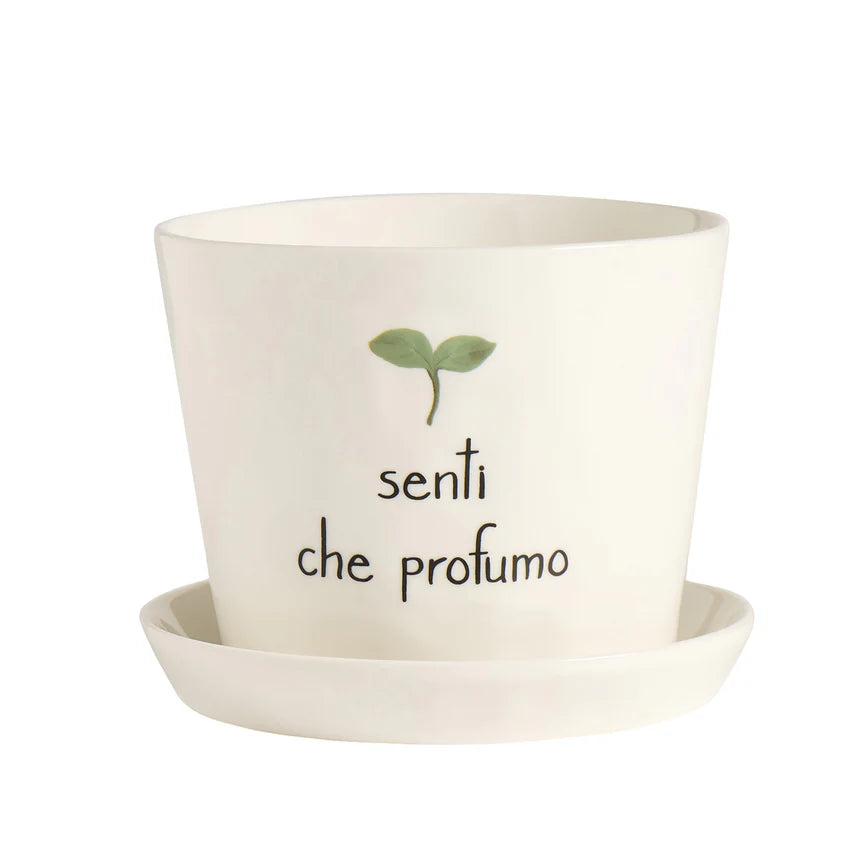 Vaso D15x12cm Senti Che Profumo