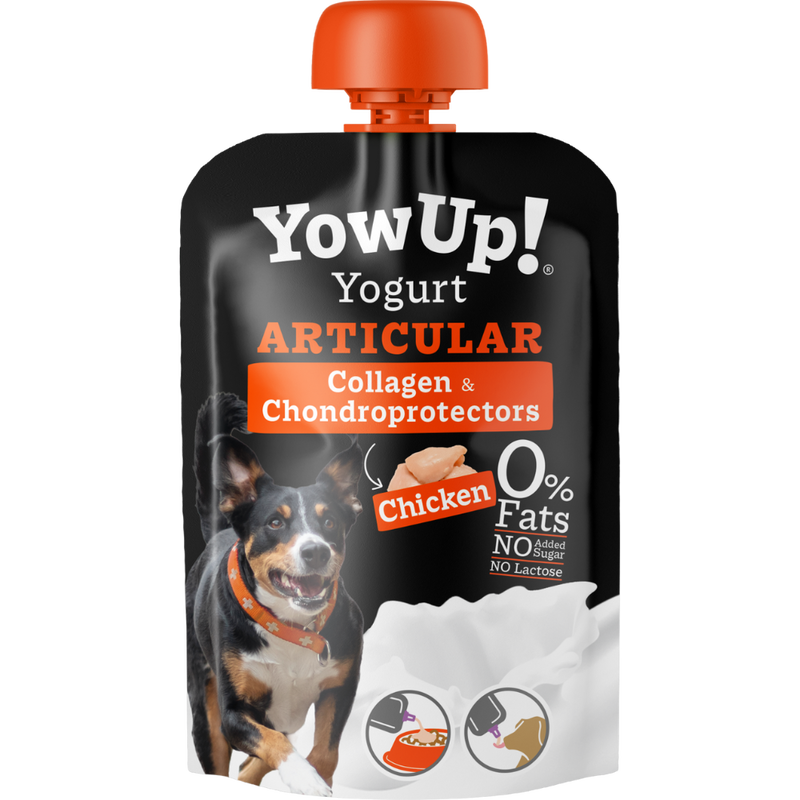 Yowup yogurt cane articular