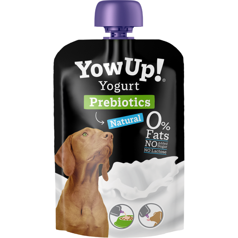 Yowup frozen yogurt cane probiotic