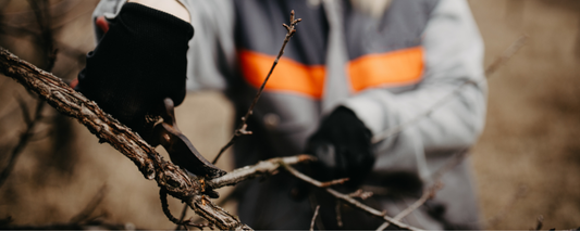 Dicembre: I lavori del mese