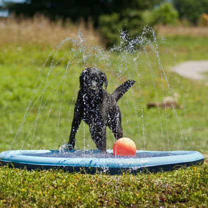 Fb piscina splash per cani