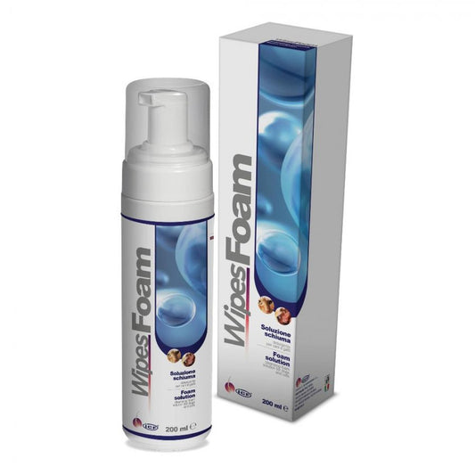 Wipes Foam 200ml