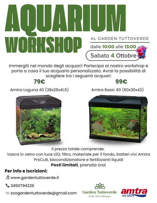 Aquarium Workshop