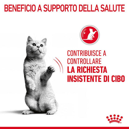 Royal Canin Appetite Control