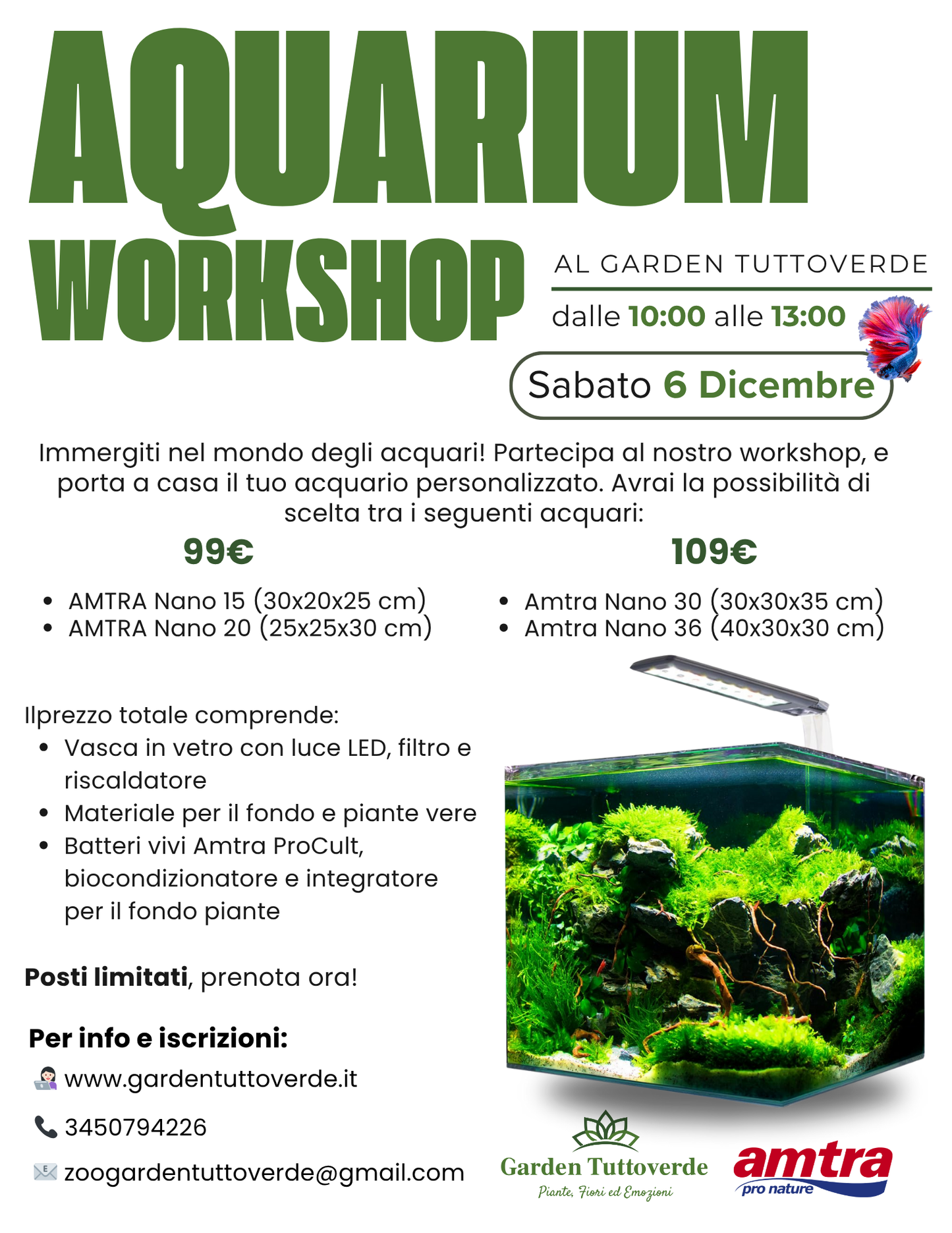 Aquarium Workshop