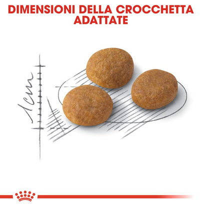 Royal Canin Exigent Aroma