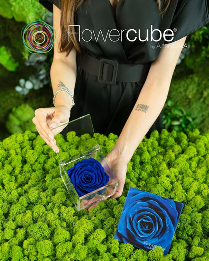 Flowercube Rosa + Packaging - Blu