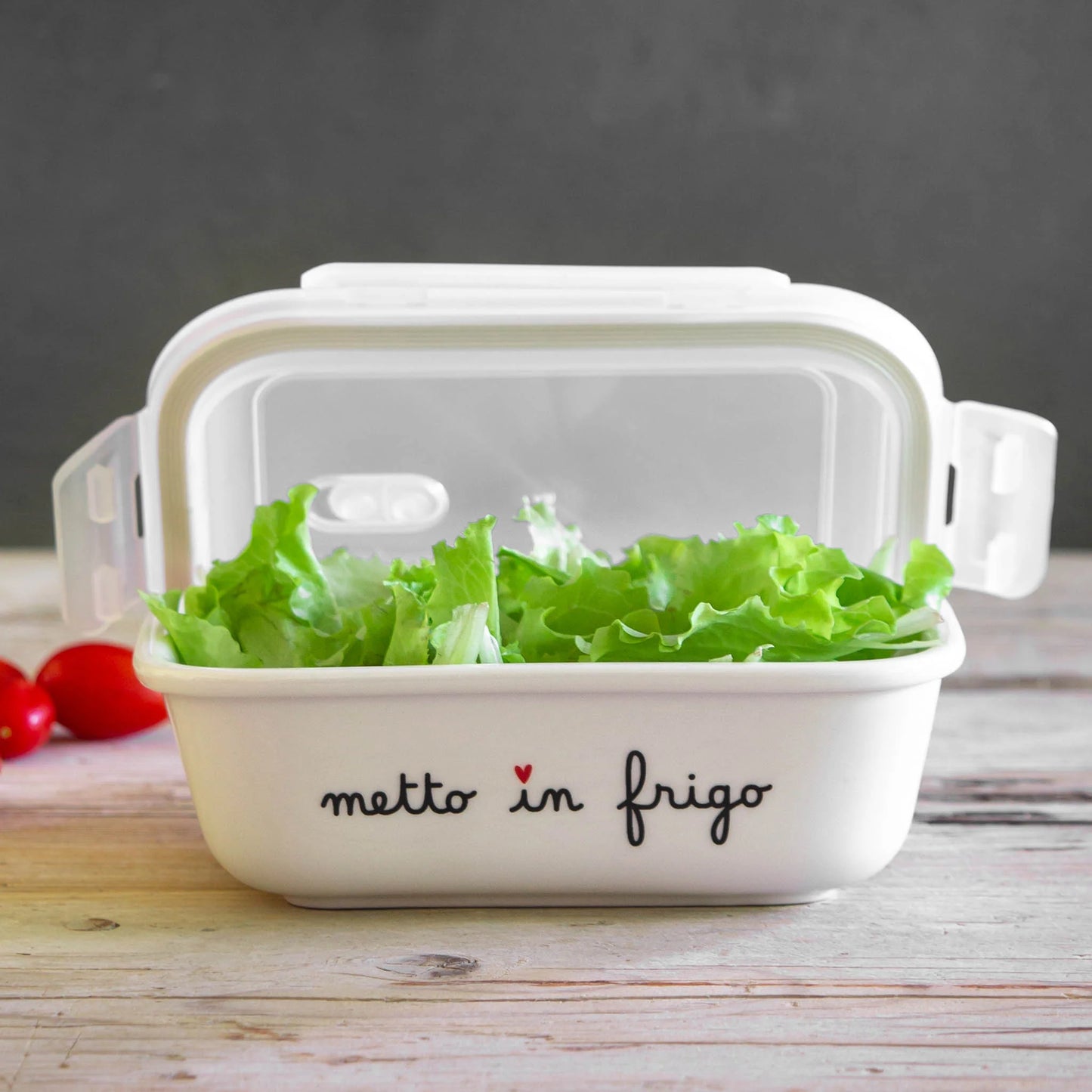 Contenitore M Metto In Frigo 16.6x12x5.1cm