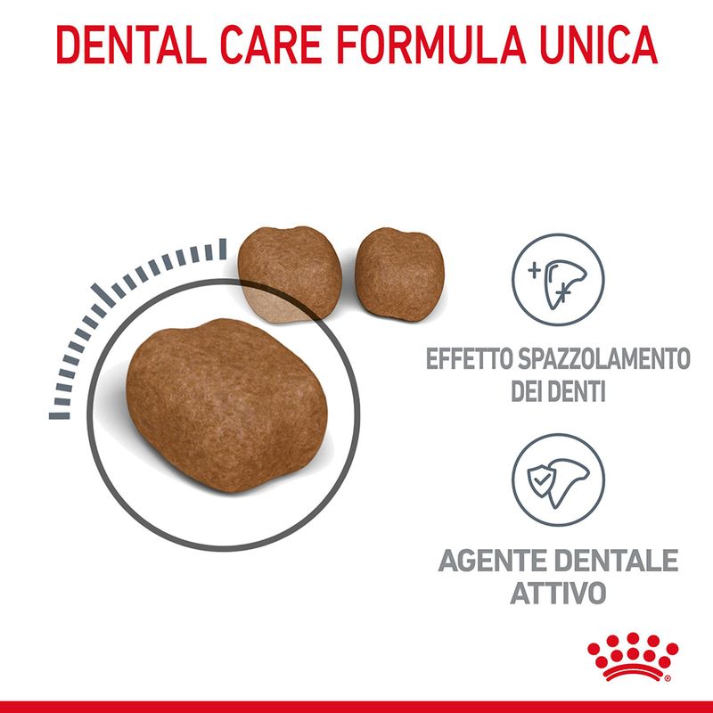 Royal Canin Oral Care