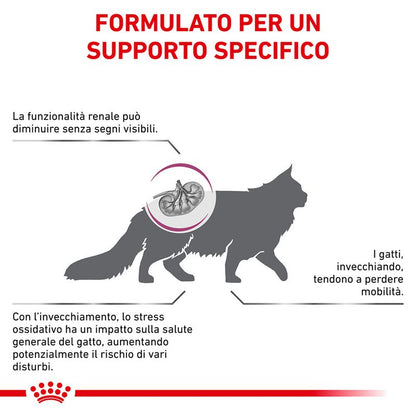 Royal Canin V-Diet Renal