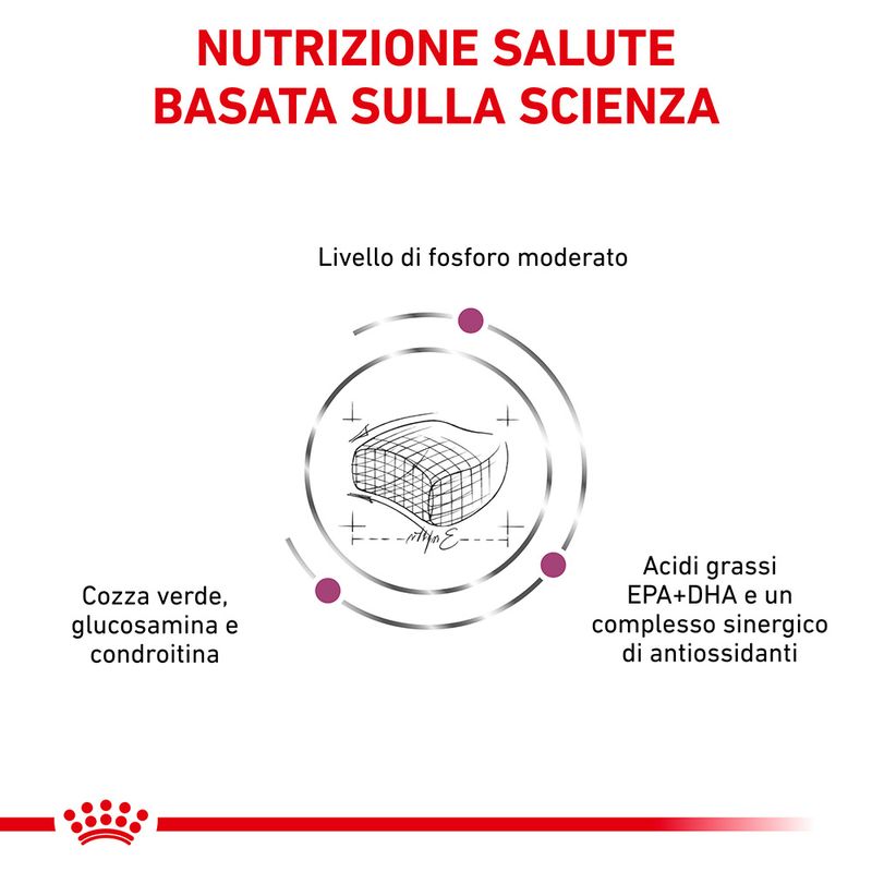 Royal Canin V-Diet Early Renal